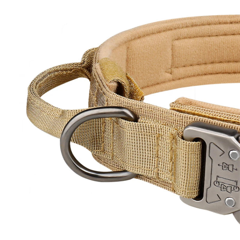 Classic Nylon Dog Collar