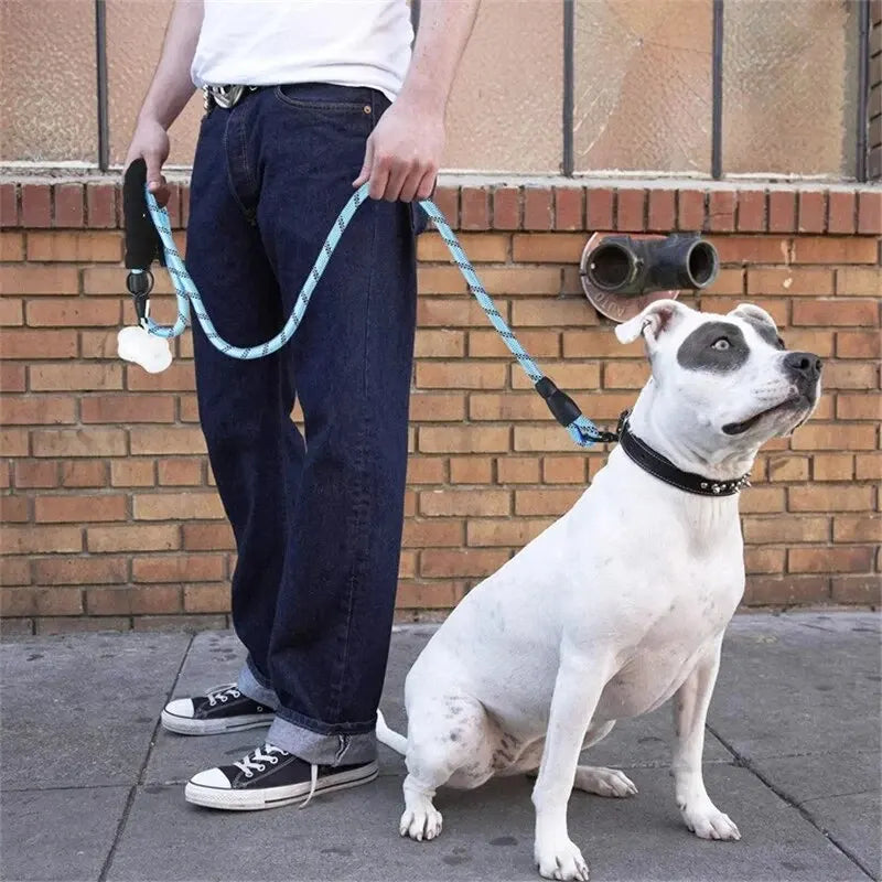 Harnesses, Collars & Leashes