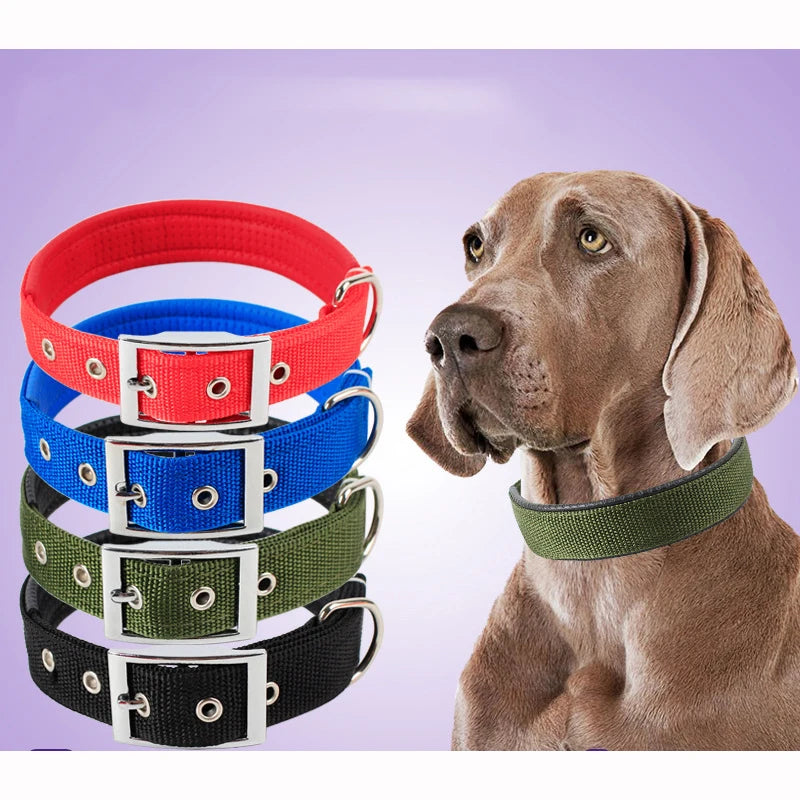 Heavy Duty Collar