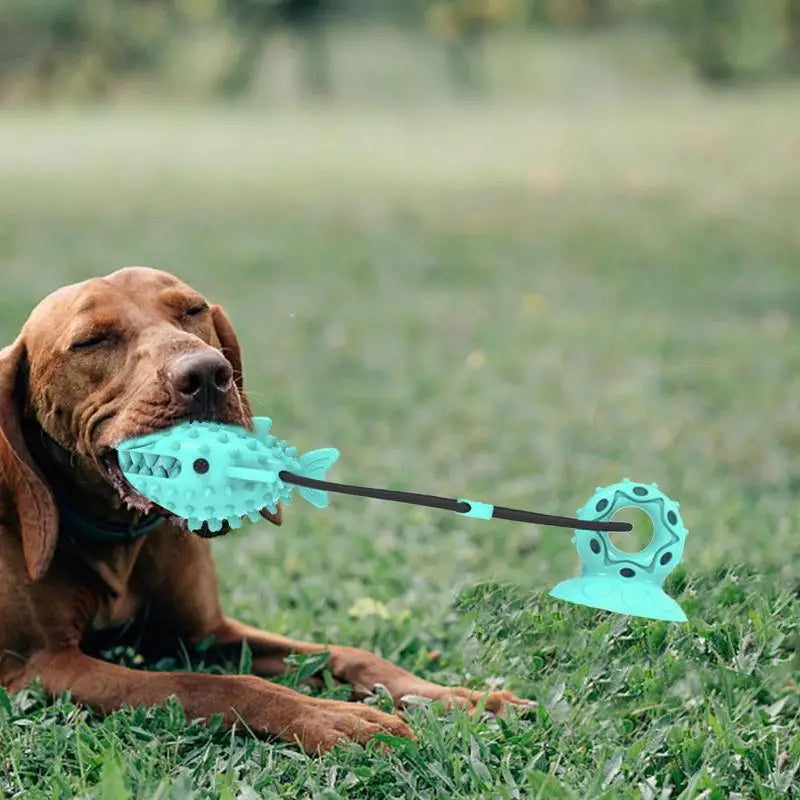 Dog Suction Cup
