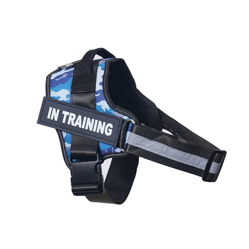 Lifetime Warranty Personalized NO PULL Harness