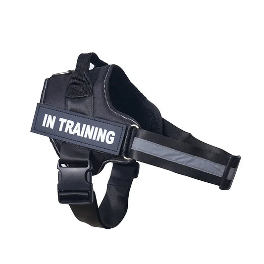 Lifetime Warranty Personalized NO PULL Harness