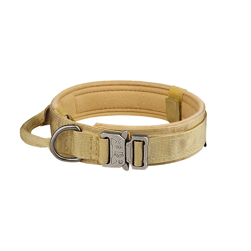 Classic Nylon Dog Collar