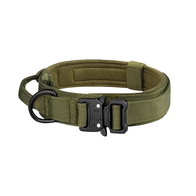 Classic Nylon Dog Collar
