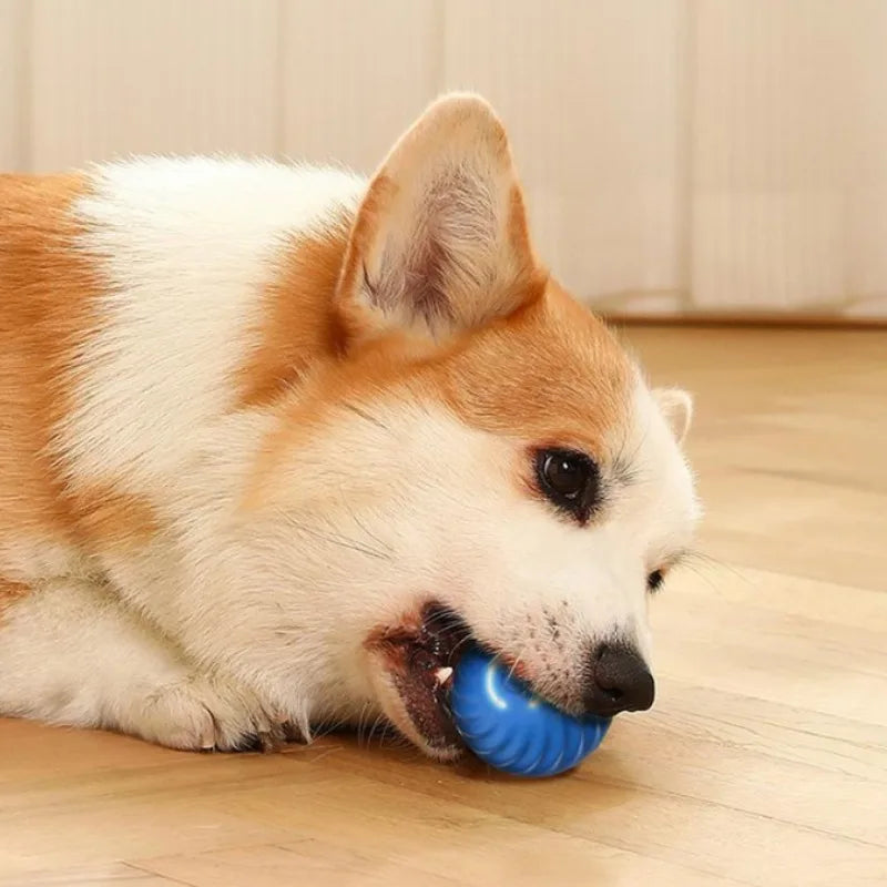 Automatic Moving Ball Toy
