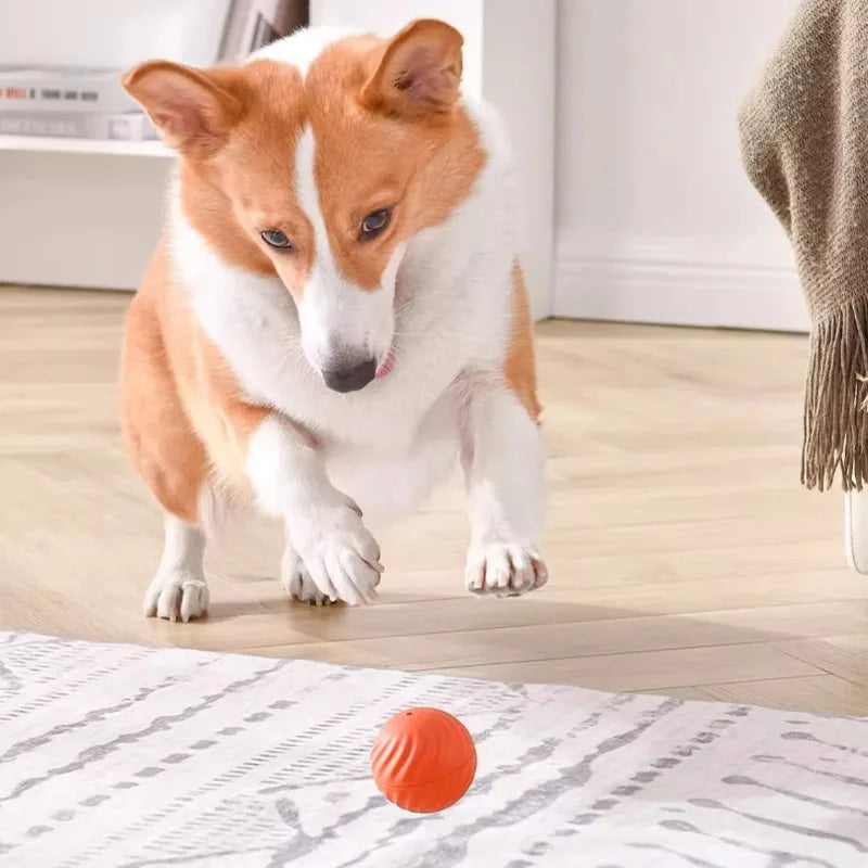 Automatic Moving Ball Toy