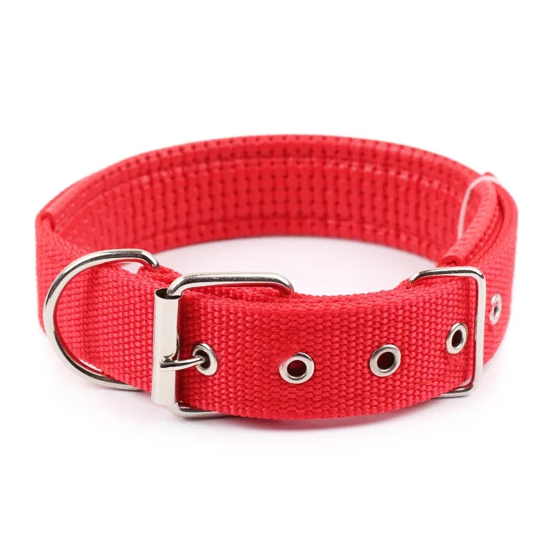 Nylon Dog Collar
