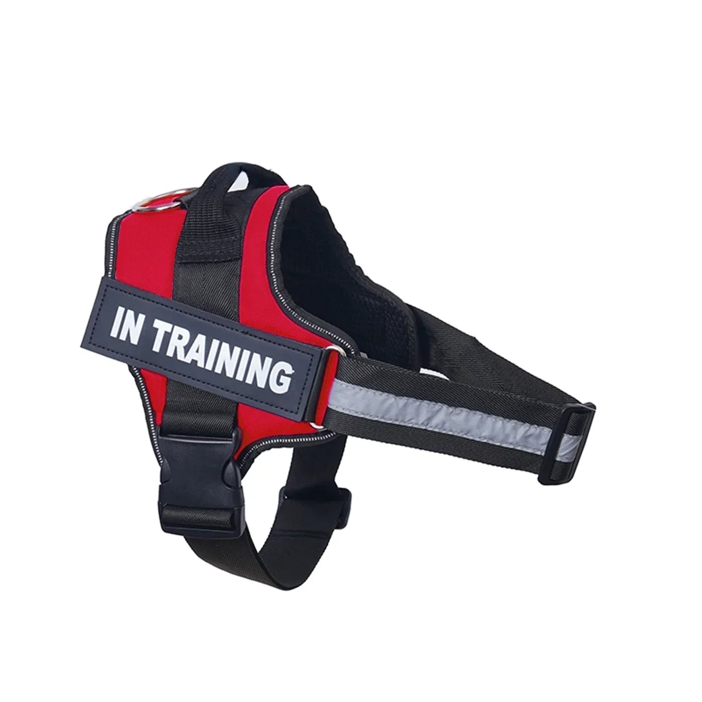 Lifetime Warranty Personalized NO PULL Harness