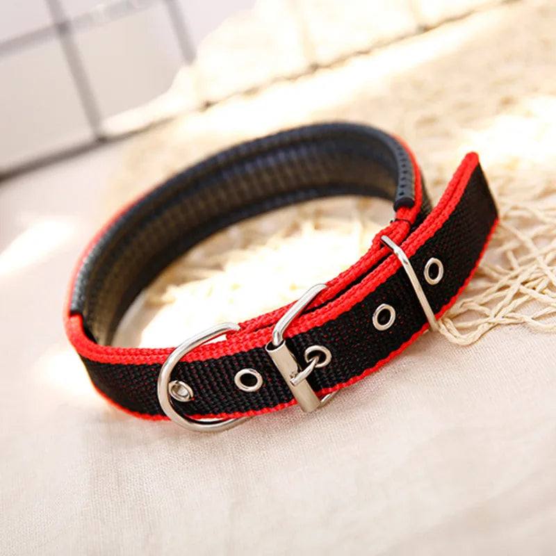 Nylon Dog Collar