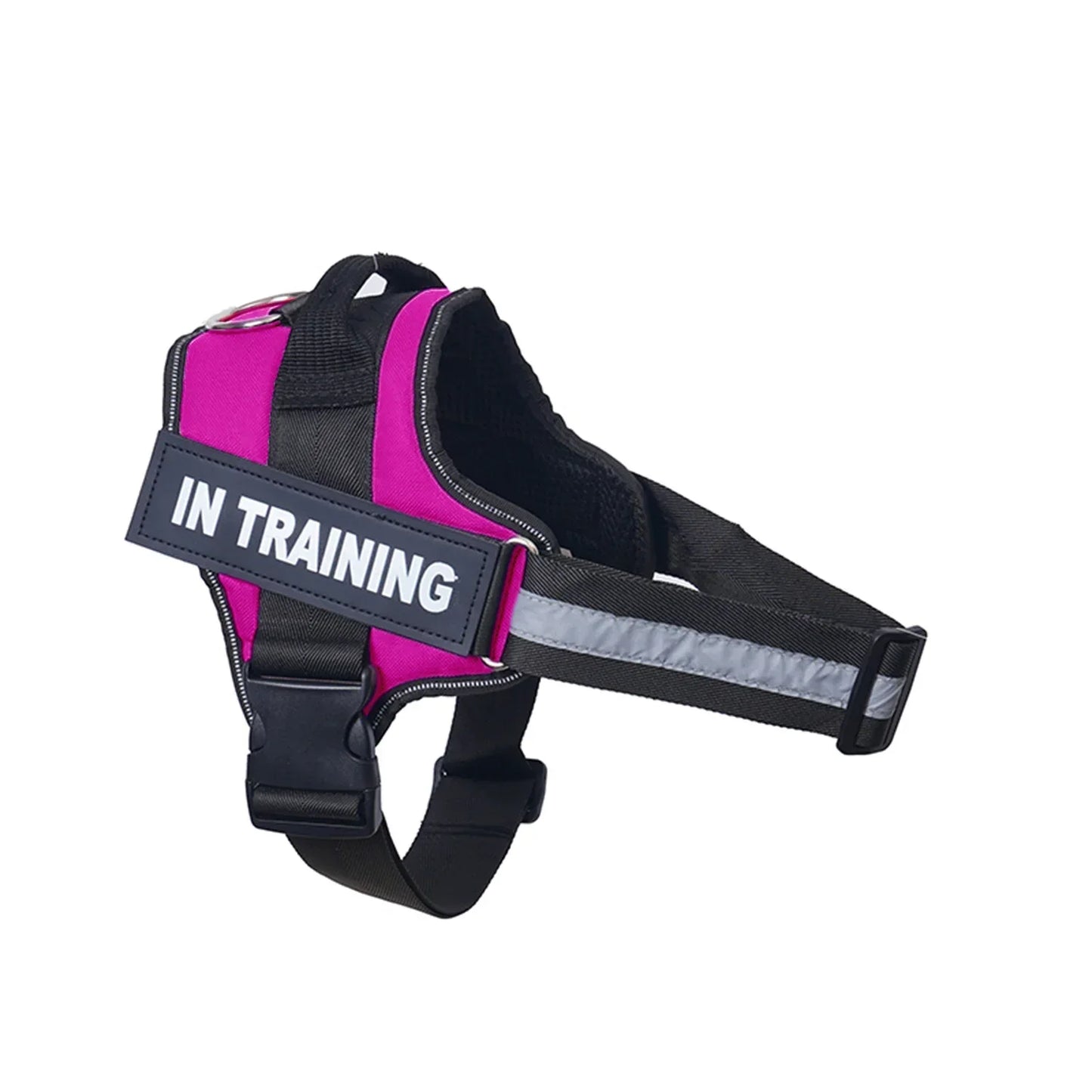 Lifetime Warranty Personalized NO PULL Harness