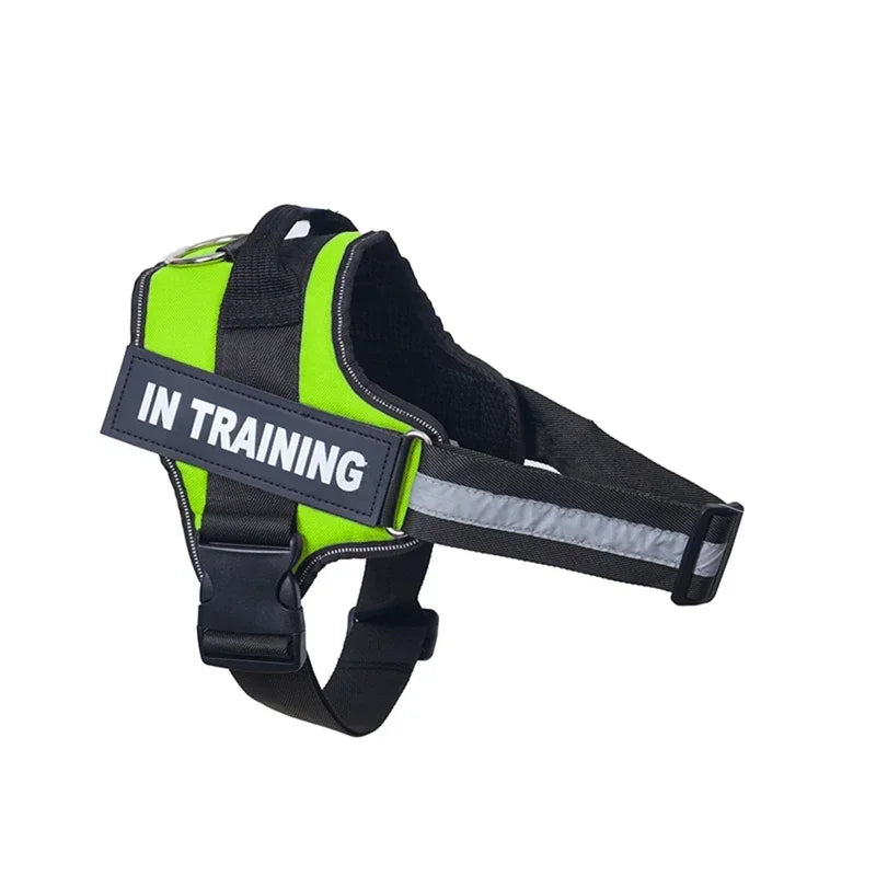 Lifetime Warranty Personalized NO PULL Harness