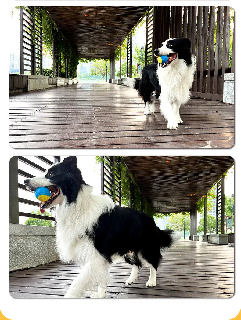 Tooth Cleaning Chew Dog Ball & Toy