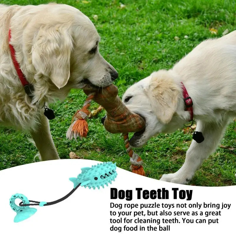 Dog Suction Cup