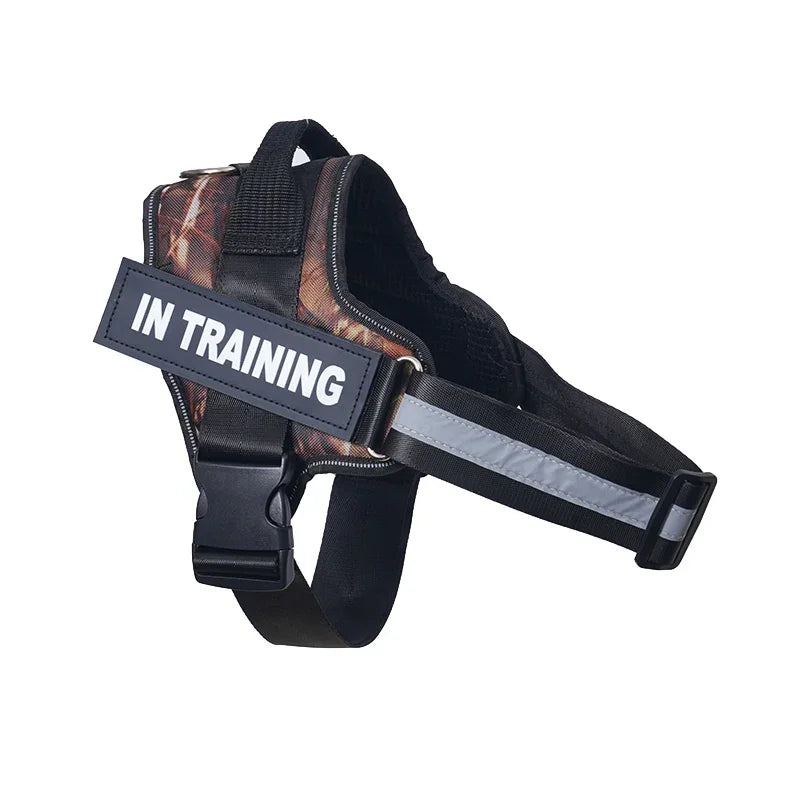 Lifetime Warranty Personalized NO PULL Harness