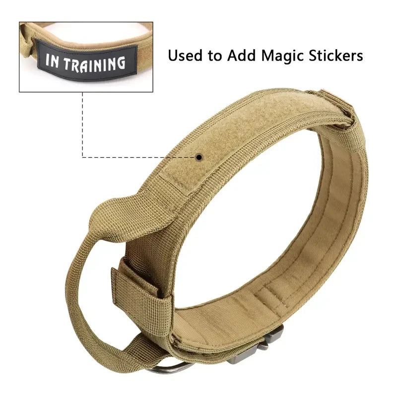 Classic Nylon Dog Collar