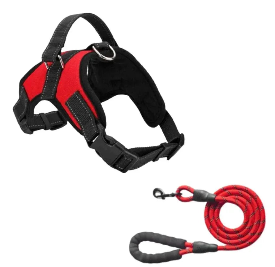 Lifetime Warranty Personalized NO PULL Harness