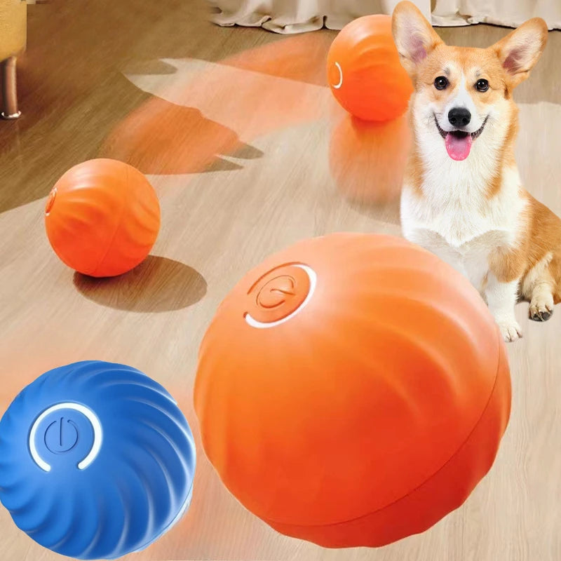 Automatic Moving Ball Toy