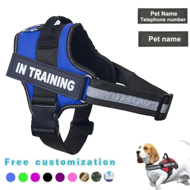 Lifetime Warranty Personalized NO PULL Harness