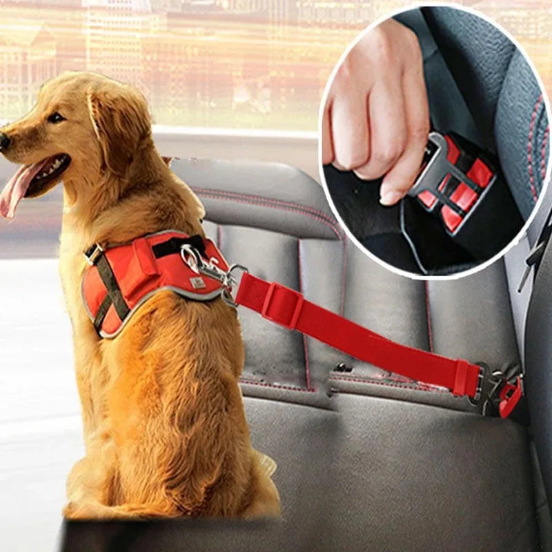 Safety Seat Belt for Dogs