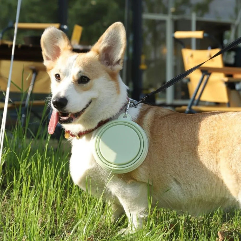 Portable and Collapsible Silicone Dog Travel Bowl