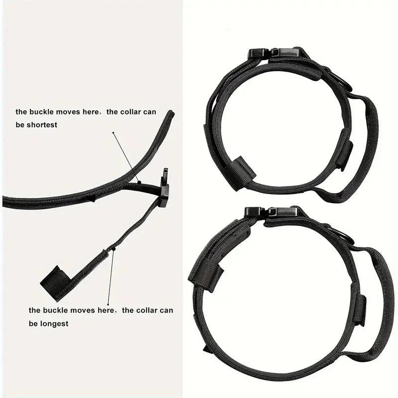 Classic Nylon Dog Collar