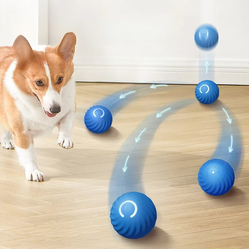 Automatic Moving Ball Toy