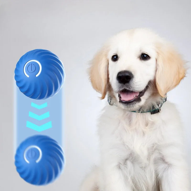 Automatic Moving Ball Toy