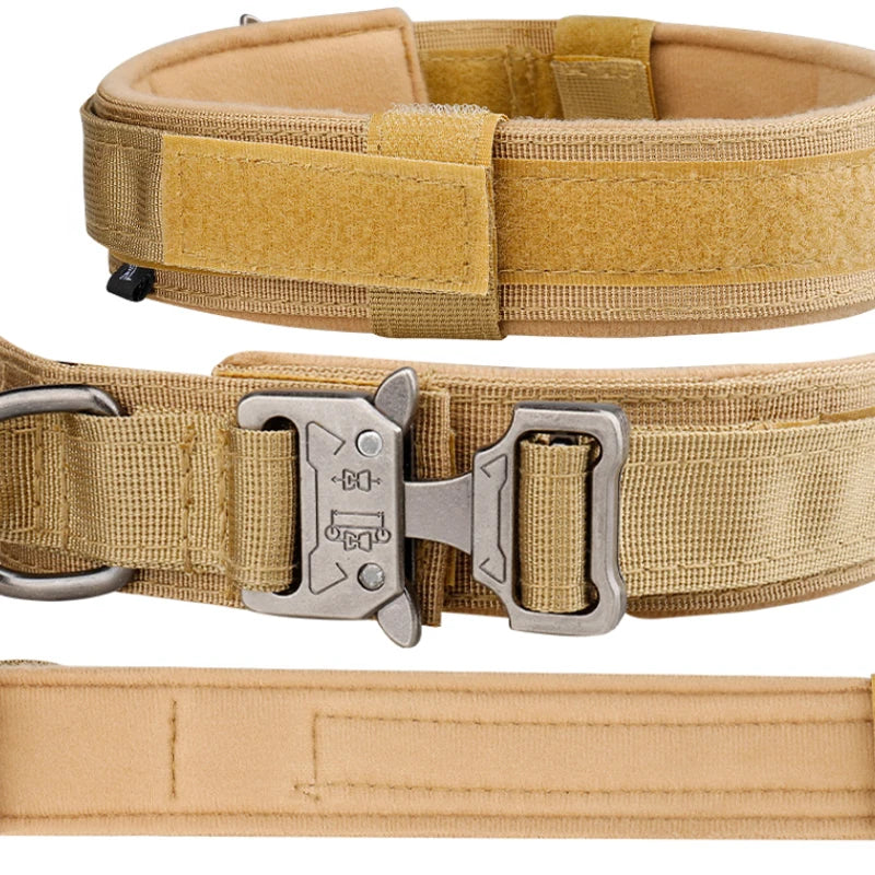 Classic Nylon Dog Collar