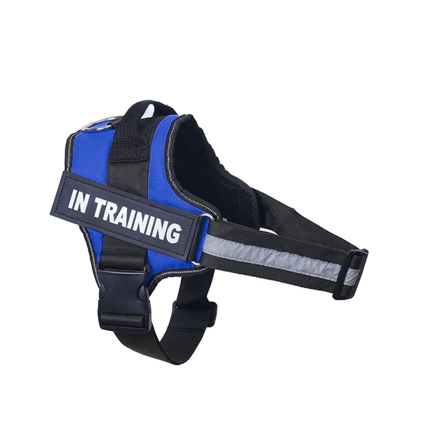 Lifetime Warranty Personalized NO PULL Harness