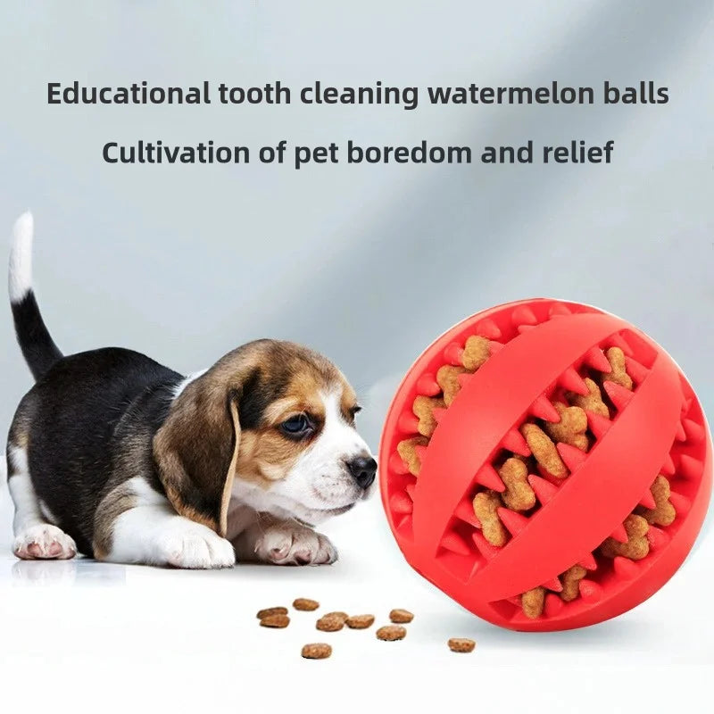 Tooth Cleaning Chew Dog Ball & Toy