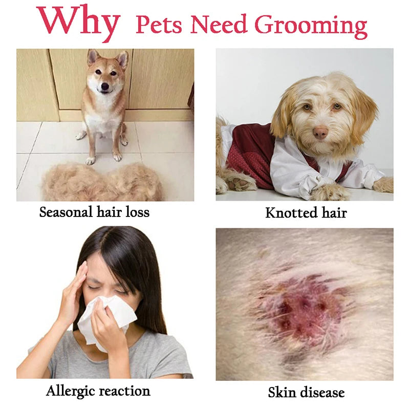Deshedding Brush