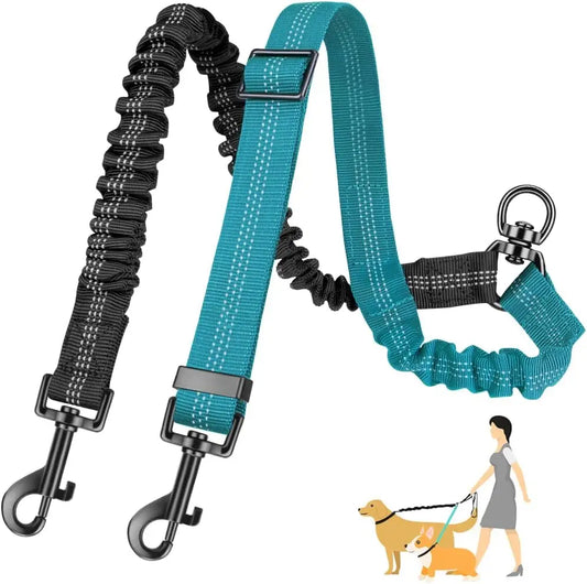 Power Double Leash 2 in 1 Dog Leash