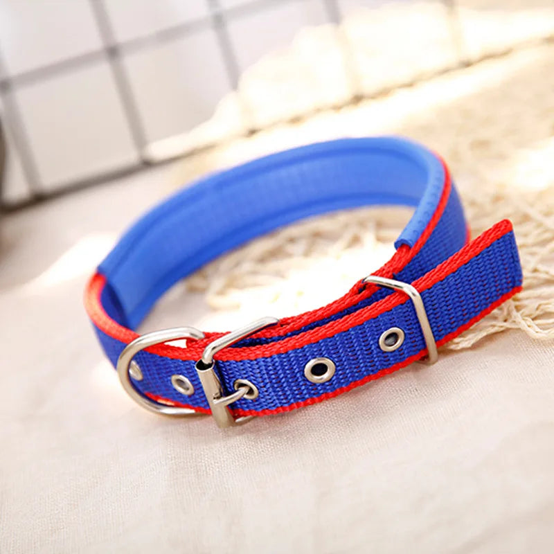 Nylon Dog Collar