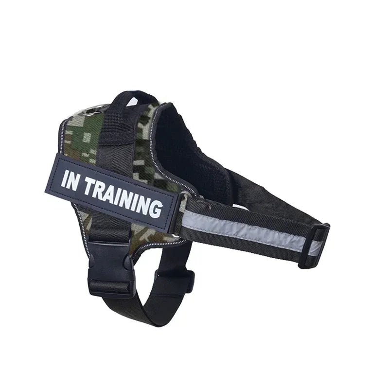 Lifetime Warranty Personalized NO PULL Harness