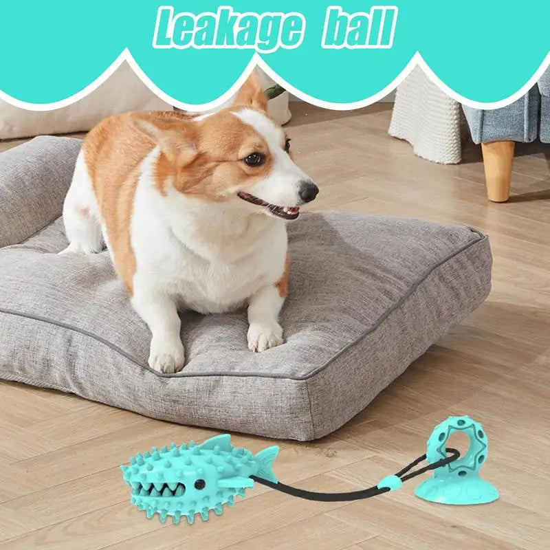 Dog Suction Cup
