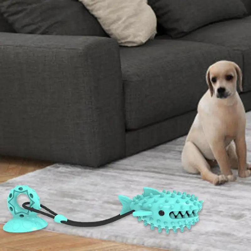 Dog Suction Cup