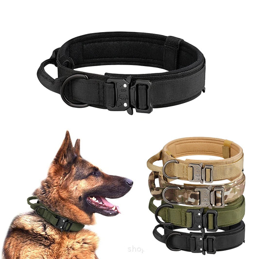 Classic Nylon Dog Collar