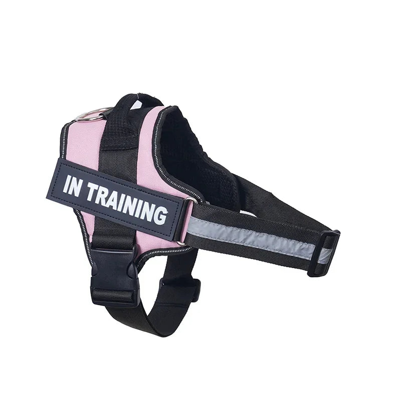 Lifetime Warranty Personalized NO PULL Harness